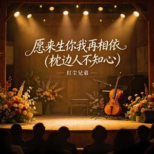 愿来生你我再相依(枕边人不知心)