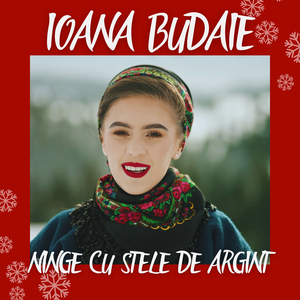 Ninge cu stele de argint