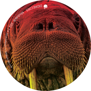 101 (Miss Electric 'Untouched' Mix)