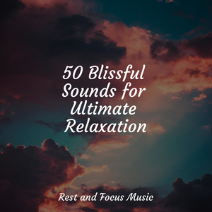 Beauty Like Birdsong