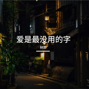 爱是最没用的字