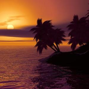 真的爱你（Cover 黄家驹）