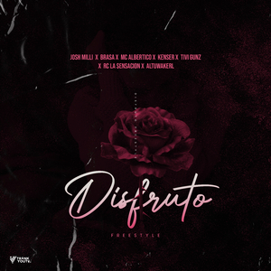 Disfruto (Freestyle)
