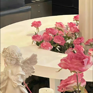 金风玉露（晚风啊）