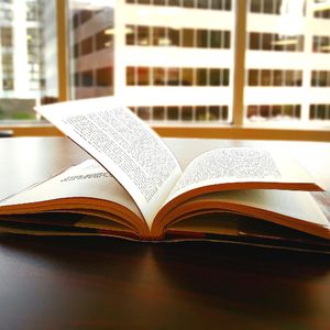 抚慰的小说回忆