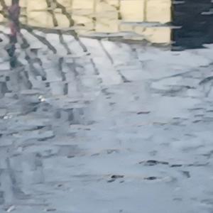 prescise1 pour posed