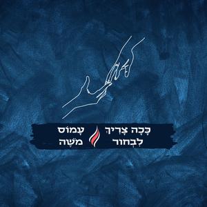 ככה צריך לבחור