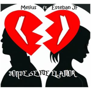 D.S.F.E.A (feat. Melius cc)