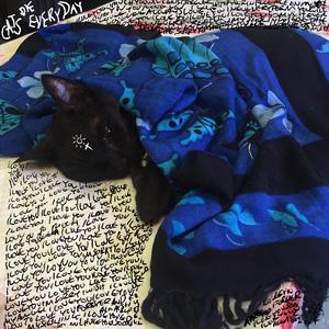 Memo 4 (21 April 2018 6:23 pm)