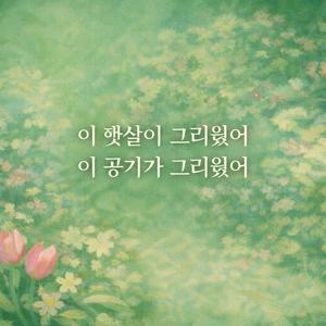 이 햇살이 그리웠어 이 공기가 그리웠어