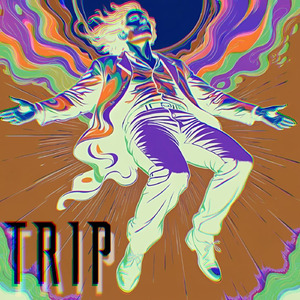 Trip