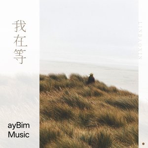 林宝馨-我在等（❀ å‎βÿ‬‎!๓_*' remix）