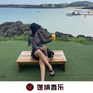 山楂树之恋 (DJ版)