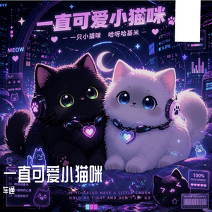 一直可爱小猫咪