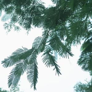 学习时光不枯燥