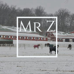 Fur Elise L. V. Beethoven