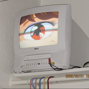 欢迎来到小学作文里的未来