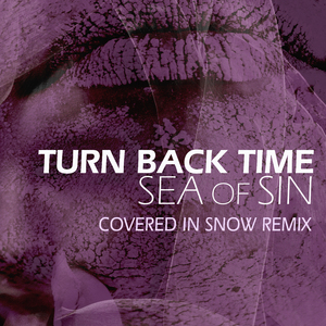 Turn Back Time (Covered in Snow Remix)