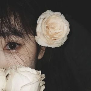 樱花最美的是飘落