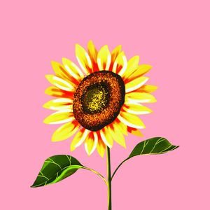 聊天记录（Prod.misogyny）