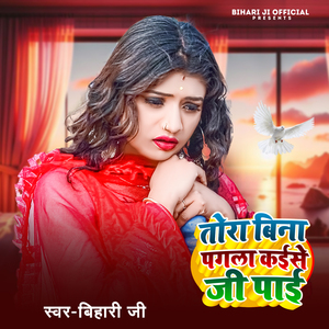 Tora Bina Pagla Kaise Ji Pai