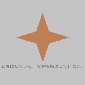 反省はしている、だが後悔はしていない。