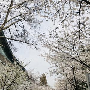 你在忧愁什么（demo）