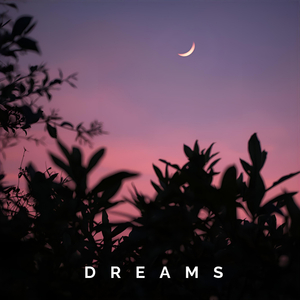 Dreams