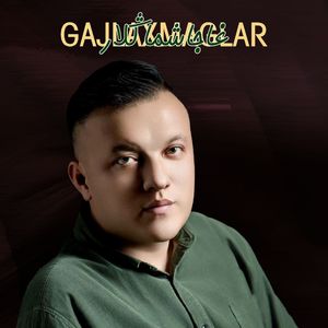 Gajawiriglar请毕其说