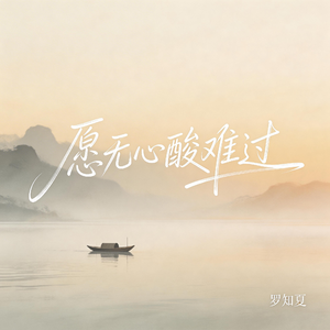 愿无心酸难过