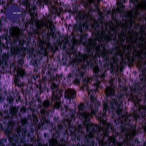 Quantum Leap (Extended Mix)