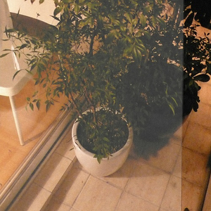 3월의 마른 모래