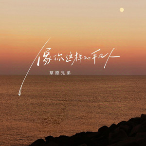 像你这样的平凡人（你风风雨雨这半生）