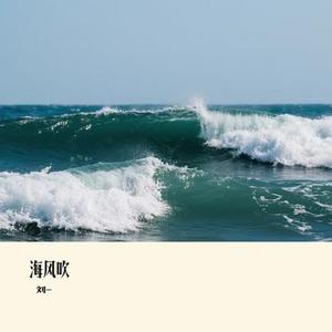 海风吹 (Cover 王源)