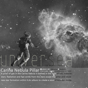 深夜的回童梦与不安的龟