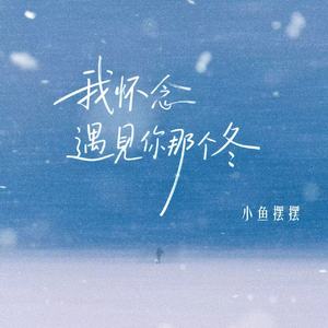 我怀念遇见你那个冬(伴奏)