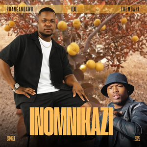 Inomnikazi (feat. Thembani)