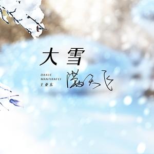 大雪满天飞 (DJ彭锐版)