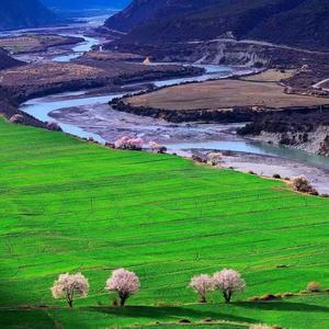 生活在别处的你