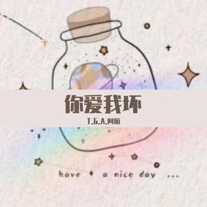 你爱我坏(DJ沈念版)