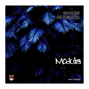 Modula (Electro Mix)