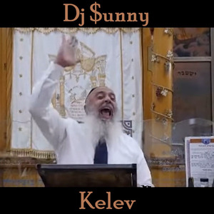 Kelev (PsyTrance Radio Mix)