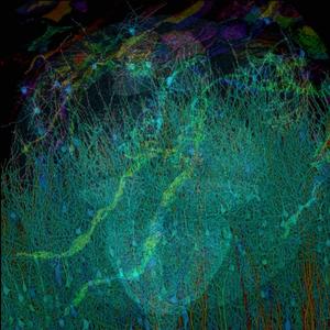 courtyard (feat. *****)