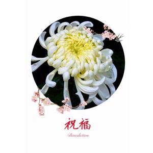 平安武汉平安中国