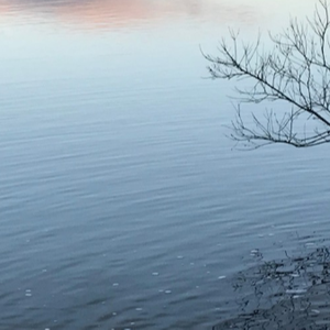 trembling (prod. nxcturnal)