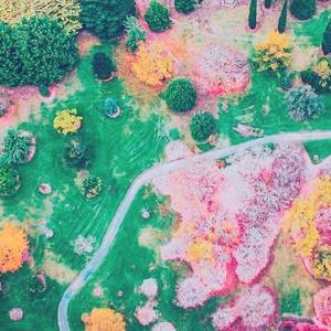 我捏碎了阳光瓶