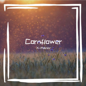 Cornflower