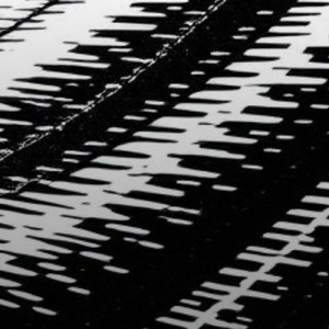 太陽礼拝フローヨガBGM