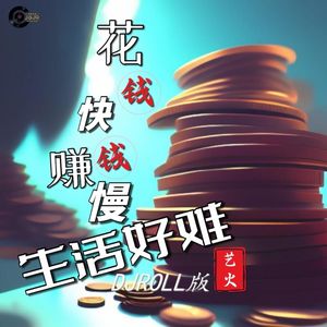 花钱快赚钱慢生活好难DJROLL版