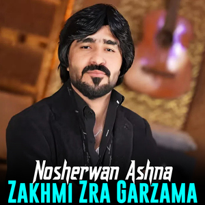 Zakhmi Zra Garzama